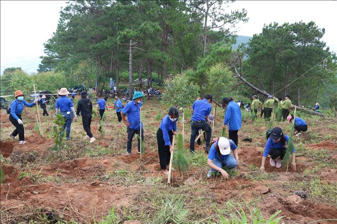Đông đảo đoàn viên, thanh niên tham gia Lễ ra quân trồng cây xanh năm 2022. Ảnh: TTXVN phát Kon Tum phát động trồng cây tại hai Di tích Quốc gia đặc biệt Điểm cao 1049 và 1015 ảnh 3