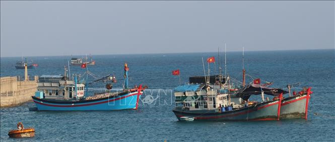 Cờ Tổ quốc tung bay phấp phới trên nóc tàu đánh cá của ngư dân Việt Nam neo đậu tại đảo Đá Tây A (quần đảo Trường Sa). Ảnh: Sỹ Tuyên – TTXVN Thiêng liêng cờ Tổ quốc nơi quần đảo Trường Sa ảnh 3