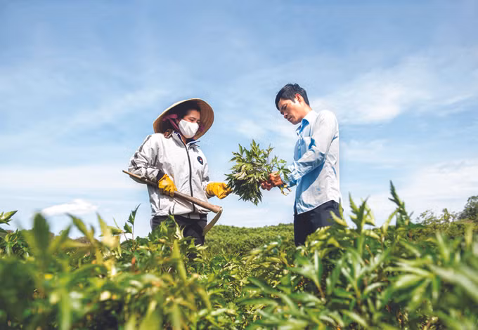 Thúc đẩy phát triển vùng kinh tế động lực Kon Plông ảnh 5