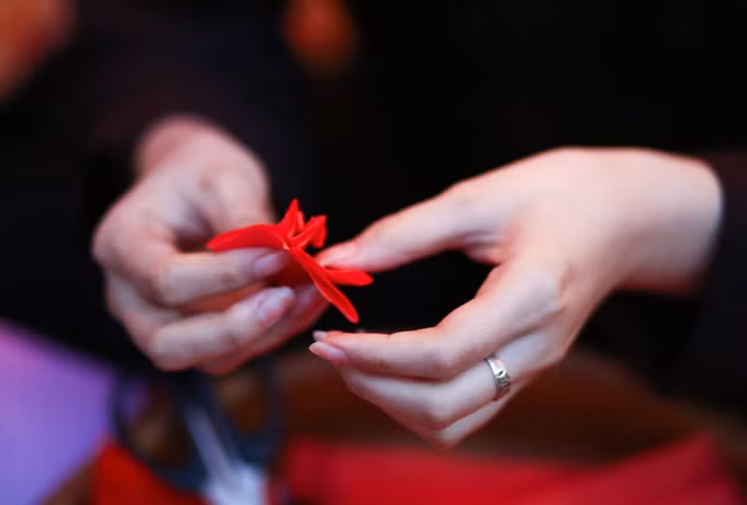 Chương trình du lịch "Bác Cổ - Mùa hoa gạo" ảnh 3