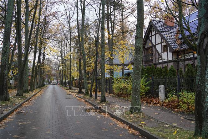 Tỉnh cực Tây Kaliningrad của Liên Bang Nga ảnh 11