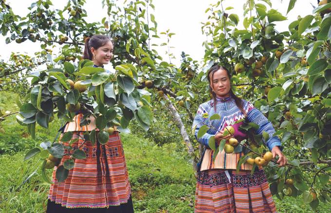 Lào Cai đẩy lùi nạn tảo hôn và hôn nhân cận huyết thống ảnh 3