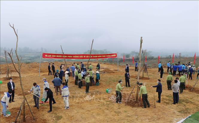 Lai Châu phấn đấu trồng 50 nghìn cây xanh năm 2022. Ảnh: Nguyễn Oanh-TTXVN Năm 2022, Lai Châu phấn đấu trồng 50 nghìn cây xanh ảnh 3
