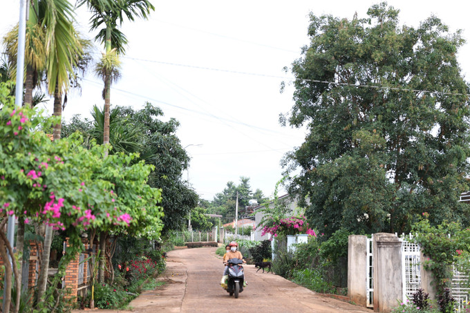 Cuộc sống người dân huyện Cư Kuin, tỉnh Đắk Lắk đã bình yên trở lại. Ảnh: Tuấn Anh - TTXVN Đắk Lắk tăng cường, củng cố khối đại đoàn kết dân tộc ảnh 1