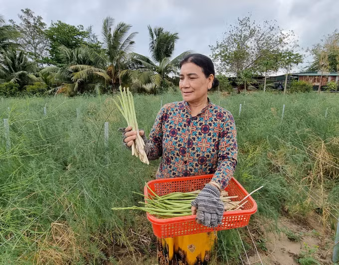 Thúc đẩy phát triển kinh tế - xã hội vùng đồng bào Chăm ở Ninh Thuận ảnh 4