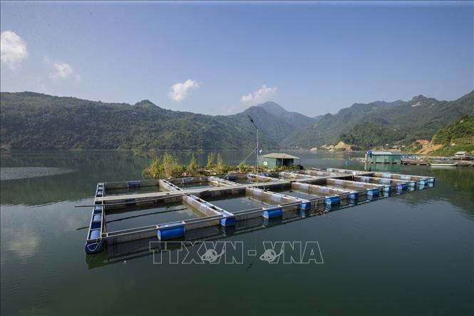 Hòa Bình phát triển bền vững vùng đồng bào dân tộc thiểu số ảnh 4