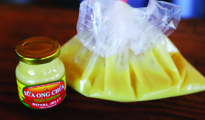 Sữa ong chúa đạt tiêu chuẩn có màu vàng nhạt hoặc trắng đục. Ảnh: Hữu Hải - DTMN Phương pháp lấy sữa ong chúa ảnh 3