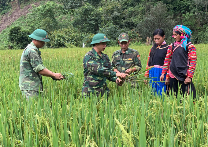 Cán bộ, chiến sĩ Đồn biên phòng Pa Ủ giúp bà con dân tộc La Hủ ở bản Hà Si, xã Pa Ủ, huyện Mường Tè (Lai Châu) khai hoang ruộng trồng lúa để bảo đảm lương thực tại chỗ. Ảnh: Việt Hoàng – TTXVN Đòn bẩy giúp đồng bào vùng biên thoát nghèo (Bài 1) ảnh 3
