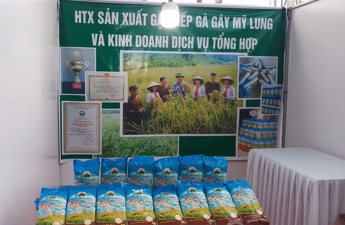 Phú Thọ tạo “bệ phóng” cho sản phẩm OCOP phát triển ở các huyện miền núi ảnh 2