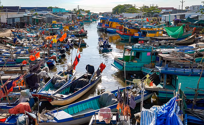 Xây dựng nông thôn mới ở các xã bãi ngang ven biển Cà Mau ảnh 4