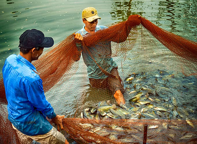 Xây dựng nông thôn mới ở các xã bãi ngang ven biển Cà Mau ảnh 3