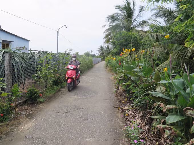 Long An hướng đến nông thôn mới nâng cao (Bài 2) ảnh 2