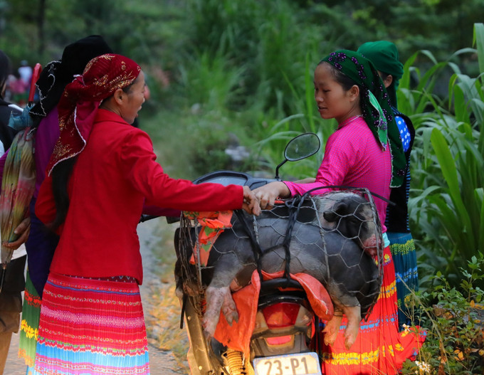 5h sáng, nhiều bà con đã có mặt tại chợ. Ảnh: Hoàng Hiếu – TTXVN Đồng bào vùng cao Hà Giang nô nức xuống chợ phiên Mèo Vạc ảnh 2
