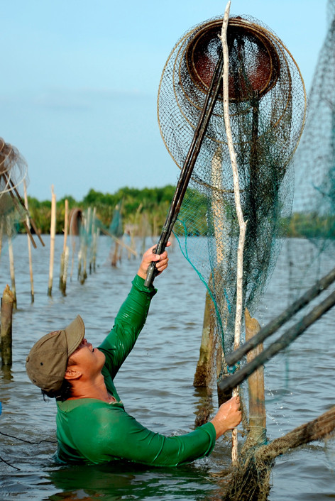 Người dân ở Đầm Thị Tường mưu sinh bằng nghề nuôi trồng thủy sản, đánh bắt bằng lưới, chài, đó.... Ảnh: An Hiếu Đầm Thị Tường - điểm đến du lịch sông nước Cà Mau ảnh 3