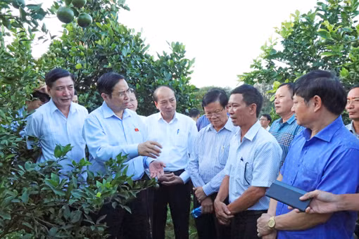 Hiệu quả chuyển đổi mô hình kinh tế ở Buôn Đôn ảnh 1