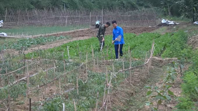 Hỗ trợ đồng bào vùng cao tỉnh Cao Bằng thoát nghèo hiệu quả ảnh 1