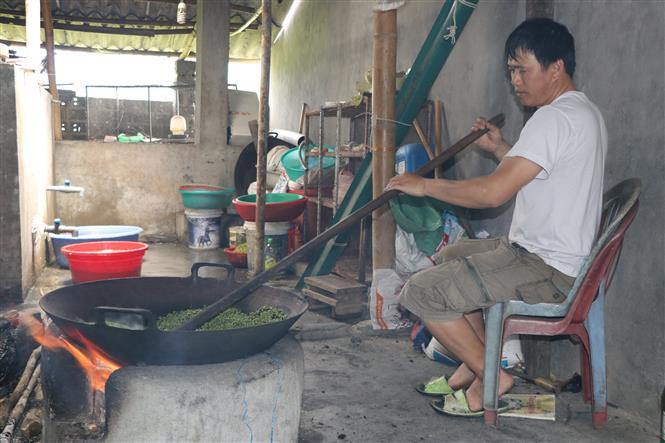 Sau khi được tuốt, loại bỏ hạt lép, lúa được đem rang trong chảo lớn. Lửa phải được duy trì đều trong khoảng 30 phút đến khi nứt hạt và dậy mùi thơm. Ảnh: Tiến Khánh-TTXVN Dẻo thơm hương nếp Tú Lệ ảnh 4