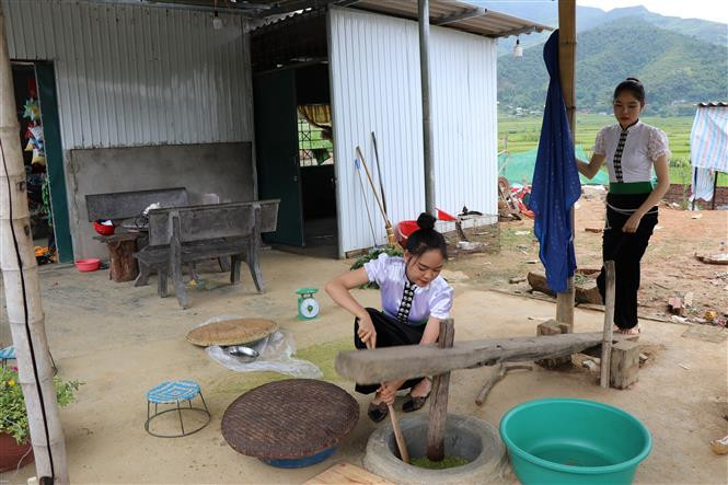 Để giã cốm nếp Tú Lệ cũng cần phải có kỹ thuật. Chân của người giã cốm phải thật đều, nhịp nhàng để lực chày giã không được mạnh quá và cũng không được nhẹ quá. Ảnh: Tiến Khánh-TTXVN Dẻo thơm hương nếp Tú Lệ ảnh 2