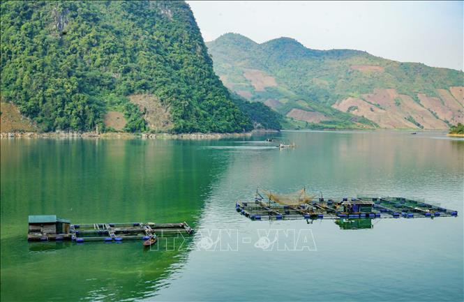 Lồng bè nuôi cá của người dân trên lòng hồ. Ảnh: Xuân Tư – TTXVN Vẻ đẹp lòng hồ Sông Đà ở huyện vùng cao Tủa Chùa ảnh 11
