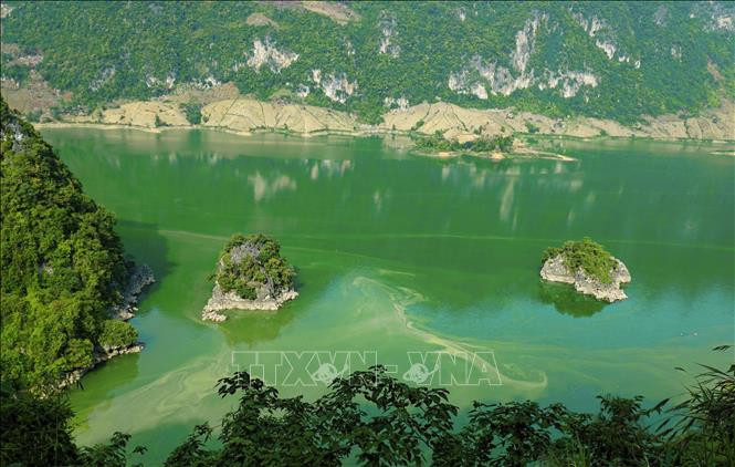 Những hòn đảo nhỏ giữa lòng hồ. Ảnh: Xuân Tư – TTXVN Vẻ đẹp lòng hồ Sông Đà ở huyện vùng cao Tủa Chùa ảnh 7