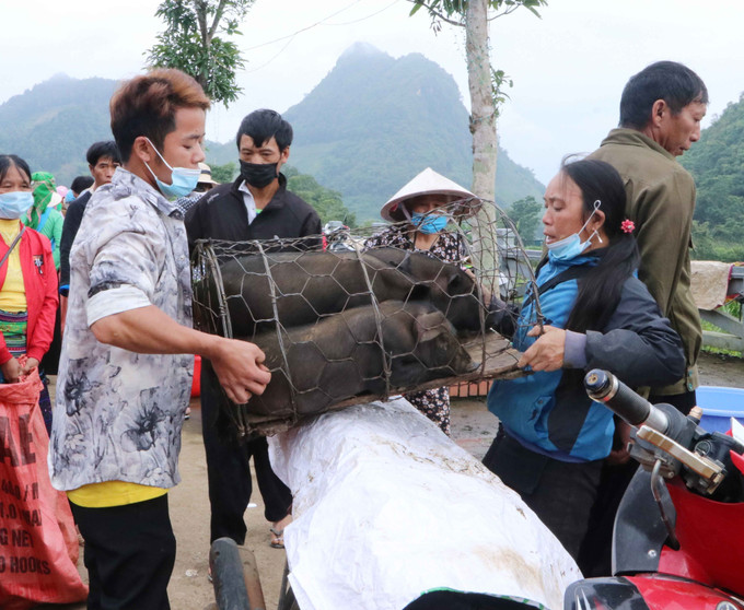 Người bán rất vui khi bán được lợn. Ảnh: Nguyễn Oanh – TTXVN Lai Châu: Chợ phiên góp phần gìn giữ nét văn hóa dân tộc ảnh 15