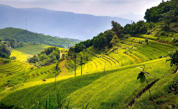 Ruộng bậc thang Miền Đồi - ẩn số chưa khai phá của du lịch Hòa Bình ảnh 4