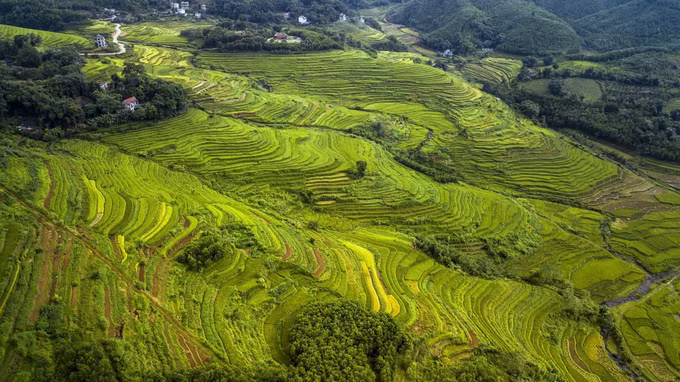 Ruộng bậc thang Miền Đồi - ẩn số chưa khai phá của du lịch Hòa Bình ảnh 1