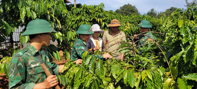 Bộ đội Biên phòng Gia Lai chung tay giúp người dân biên giới giảm nghèo ảnh 1