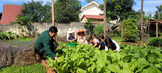 Bộ đội Biên phòng Gia Lai chung tay giúp người dân biên giới giảm nghèo ảnh 5