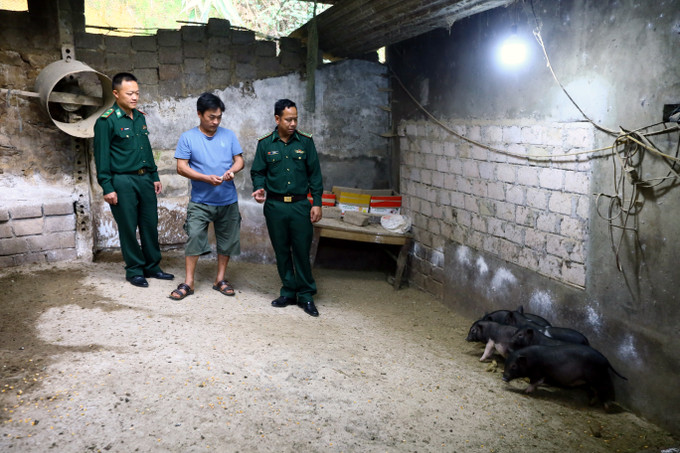 Cán bộ, chiến sĩ Đồn Biên phòng Chiềng Tương hướng dẫn người dân xã biên giới Chiềng Tương, huyện Yên Châu chăm sóc, phát triển chăn nuôi lợn. Ảnh: Quang Quyết Bộ đội Biên phòng Sơn La - giúp người dân vùng biên thoát nghèo ảnh 4