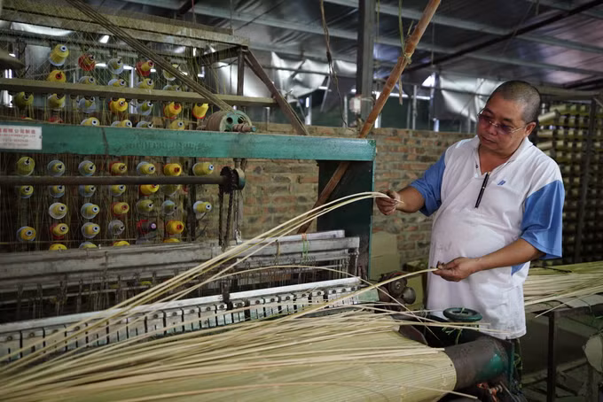 Ấm no nhờ cây trúc sào ảnh 4