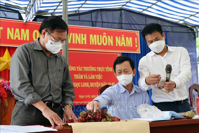 Lãnh đạo tỉnh Kon Tum kiểm tra hạt giống giả sâm Ngọc Linh Kon Tum được người dân mua tại huyện Tu Mơ Rông. Ảnh: Cao Nguyên-TTXVN Kon Tum: Nan giải bảo vệ thương hiệu sâm Ngọc Linh ảnh 2