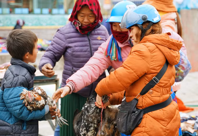 Mộc mạc chợ phiên Mèo Vạc trên cao nguyên đá Đồng Văn ảnh 15
