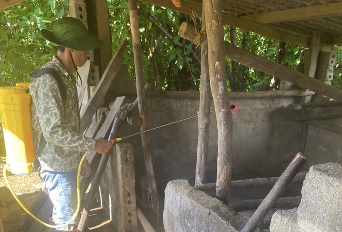 Người dân Lai Châu phun tiêu độc khử trùng chuồng trại khi dịch bùng phát. Ảnh: Việt Hoàng – TTXVN Lai Châu: Ngăn chặn dịch tả lợn châu Phi bùng phát ảnh 3