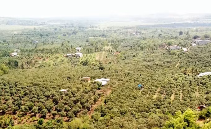 Phê duyệt dự án hồ thủy lợi lớn nhất Đắk Nông ảnh 2