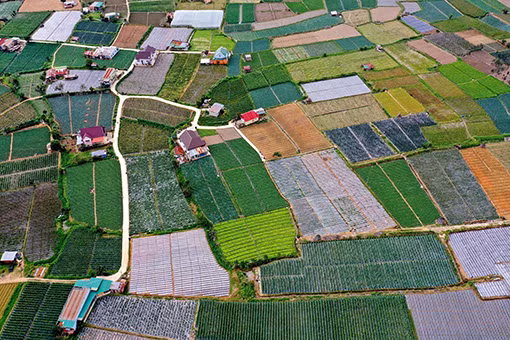 Diện mạo mới ở những vùng nông nghiệp công nghệ cao Lâm Đồng ảnh 1