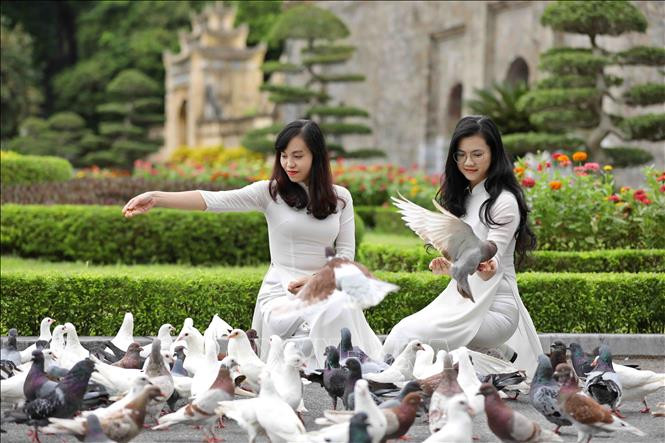 Khu di tích nay là điểm tham quan của du khách trong nước và quốc tế. Ảnh: TTXVN 1010 năm Thăng Long - Hà Nội: Di sản văn hóa thế giới Hoàng thành Thăng Long ảnh 11