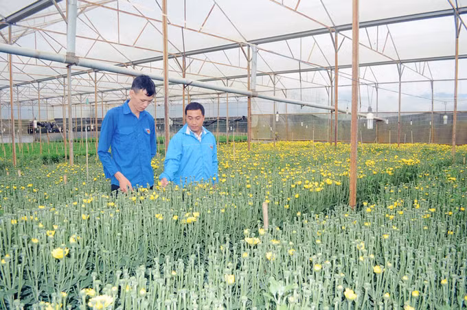 Lâm Đồng: Mỗi dự án thanh niên khởi nghiệp được hỗ trợ tối đa 2 tỷ đồng ảnh 1