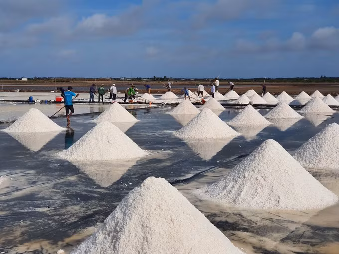 OCOP khẳng định thương hiệu muối Bạc Liêu ảnh 1