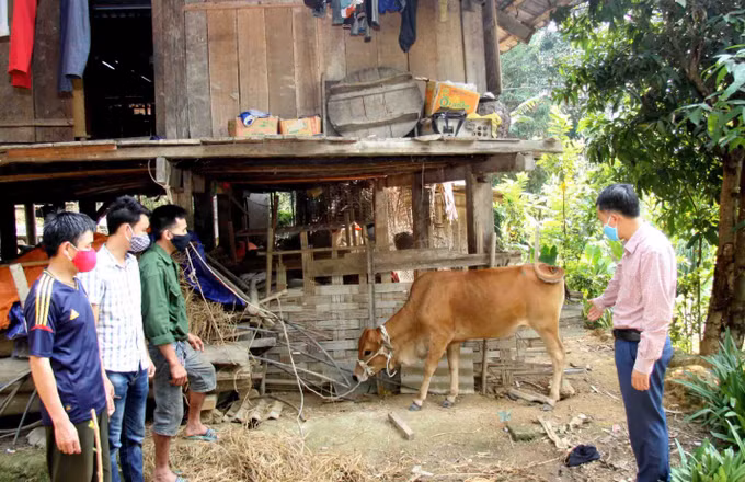 Than Uyên nỗ lực giảm nghèo ảnh 2