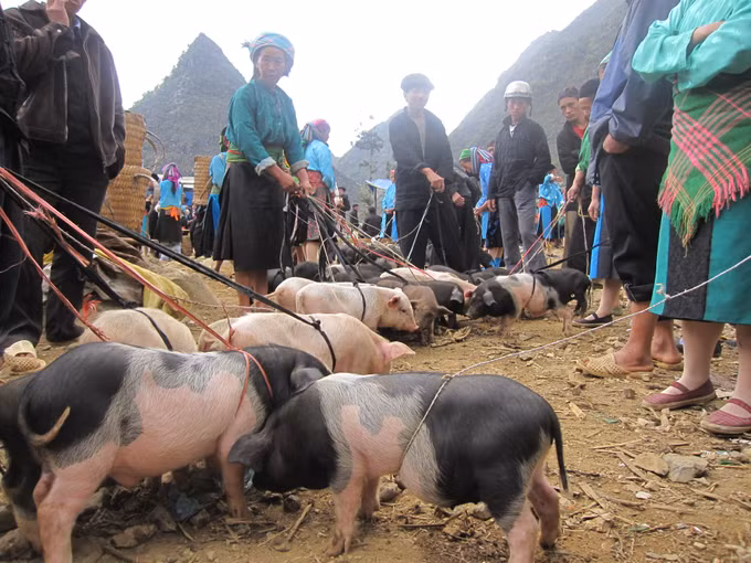 Chợ phiên vùng cao những ngày giáp Tết ảnh 10