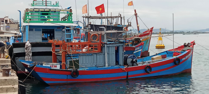 Tàu thuyền có công suất lớn của xã đảo Tam Hải (Núi Thành, Quảng Nam) được bố trí chỗ neo đậu an toàn trong mùa mưa bão. Ảnh: Đoàn Hữu Trung - TTXVN Ứng phó với áp thấp nhiệt đới: Ngư dân Quảng Nam khẩn trương tìm nơi trú ẩn an toàn ảnh 2