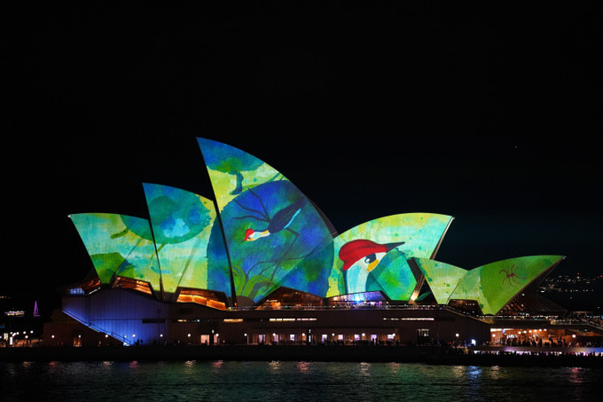 Những cánh buồm của Nhà hát Opera Sydney được thắp sáng trong đêm khai mạc Vivid Sydney 2023. Ảnh: Thanh Tú - PV TTXVN tại Sydney, Australia Vivid Sydney 2023 - Lễ hội ánh sáng được mong chờ nhất tại Australia ảnh 2