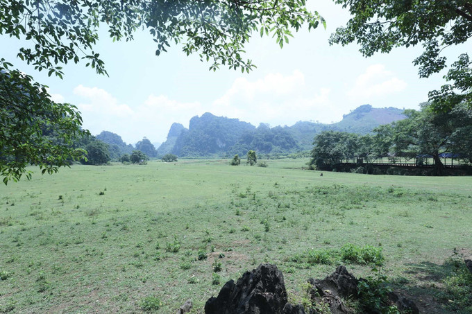 Thảo nguyên Đồng Lâm như một bức thảm xanh của tạo hóa dưới chân các ngọn núi đá vôi. Ảnh: Anh Tuấn – TTXVN Hấp dẫn thảo nguyên Đồng Lâm Xứ Lạng ảnh 1