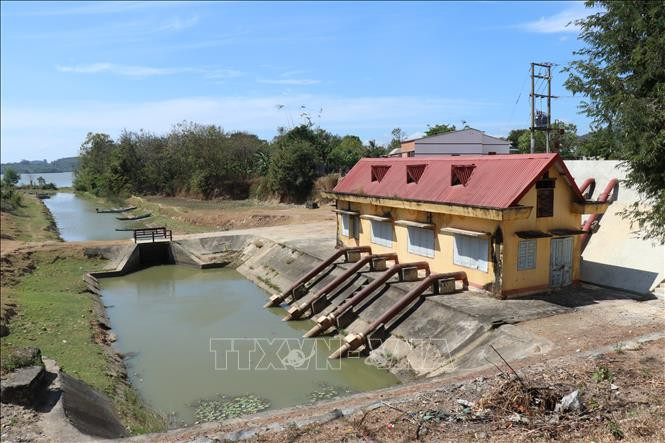 Trạm bơm Đắk Tua bơm nước từ Hồ Lắk phục vụ tưới cho hơn 130ha lúa của xã Yang Tao, huyện Lắk (Đắk Lắk). Ảnh tư liệu: Anh Dũng/TTXVN Đắk Lắk: Bảo đảm an toàn công trình thủy lợi trong mùa mưa, lũ ảnh 1