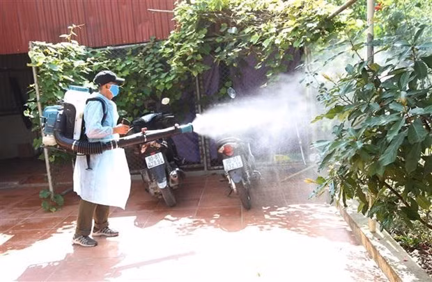 Bình Thuận: Kịp thời phát hiện các ổ bệnh sốt xuất huyết, khoanh vùng, xử lý triệt để ảnh 1