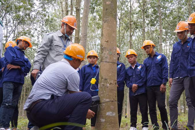 Kon Tum đào tạo nghề cho đồng bào dân tộc ảnh 4