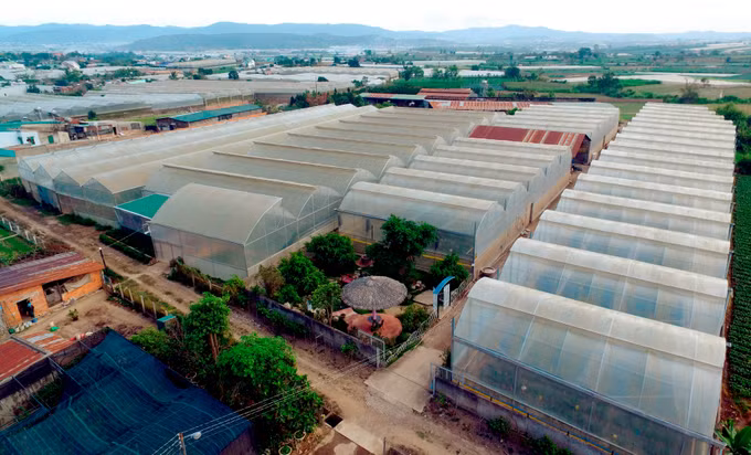 Nông nghiệp Lâm Đồng bắt nhịp chuyển đổi số ảnh 4