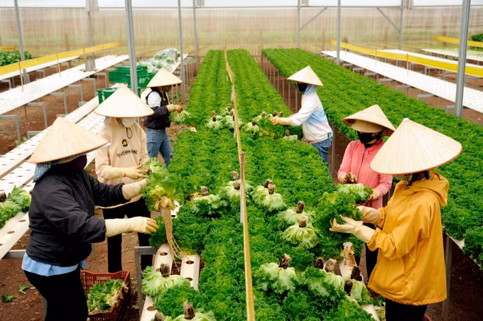 Nông nghiệp Lâm Đồng bắt nhịp chuyển đổi số ảnh 5