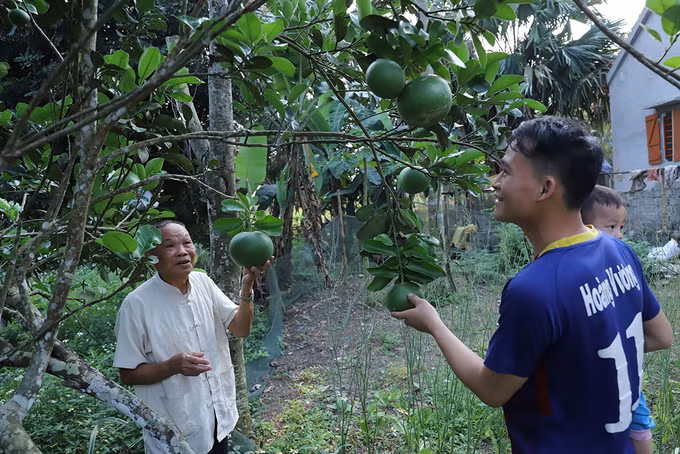 Già làng gương mẫu của bản Trung Lương ảnh 3
